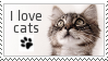 cat stamp