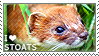 stoat stamp